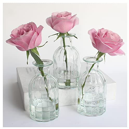 HANIHUA Lot de 3 vases en verre transparent pour fleurs, petits vases à bourgeons pour décoration, vases à bourgeons en vrac pour centres de table, ensemble de vases décoratifs d'intérieur ronds en