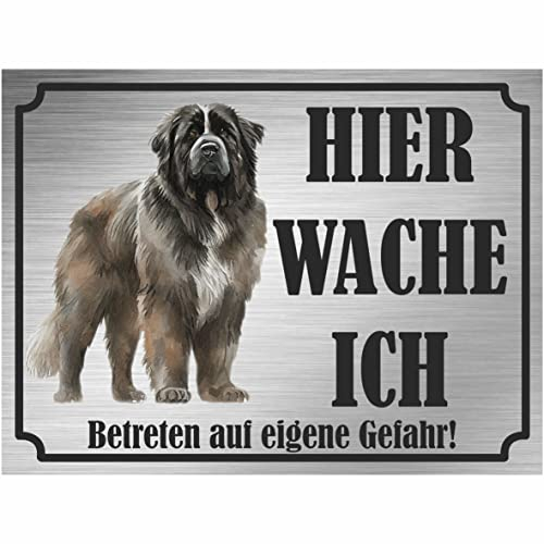INDIGOS UG - Neufundländer - Schild bedruckt - Hier wache ich - Aluverbundplatte Edelstahl Look - ab 20x15 cm - Spruch - Deko Geschenkidee für Ihren Hund - Zaun - Türschild