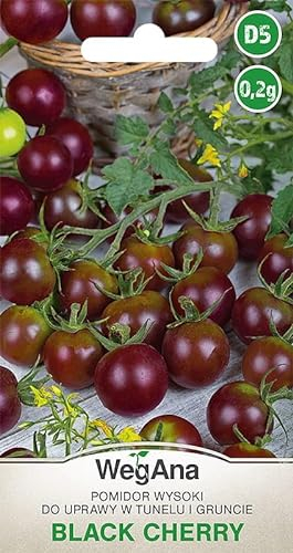 WegAna Schwarze Cherry-Tomate 0,2g (Etwa 300 Samen) Black Cherry Robuste Gemüsesamen, Gemüse Samen, Samen Anzucht, Saatgut für Gewächshaus