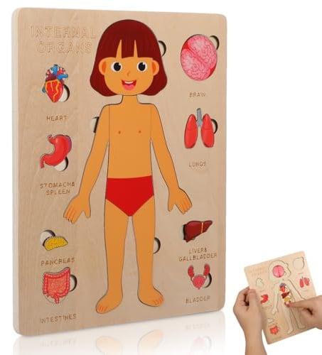 Toyvian Wooden Human Body Puzzle for Kids - Organ Structure Jigsaw Puzzle Educational Anatomy Game Montessori Toys for Kids Boys Girls Preschool Kindergarten Early Learning