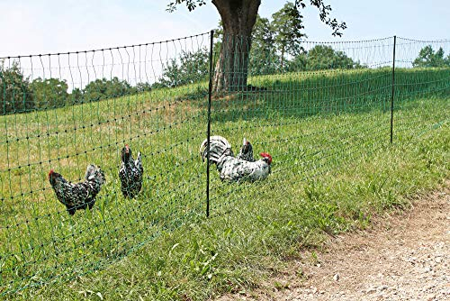AKO Hühnernetz Geflügelnetz, Elektronetz grün, 112cm Doppelspitze - 50m - Hühner, Gänse, Puten, Geflügel - Kleine Maschenweite im unteren Bereich