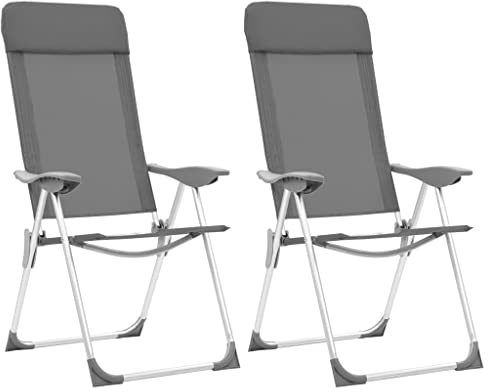 vidaXL Klappbare Campingstühle 2 STK. Grau Aluminium