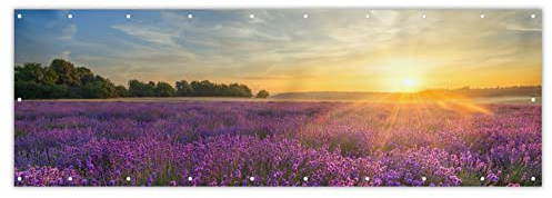 MuchoWow® Balkon Sichtschutz Sichtschutzmatte Balkonbanner Abdeckung für Terrasse Balkon Windschutz Blickdicht Wetterfest 300x100 cm Lavendel - Sonnenuntergang - Bäume - Lila