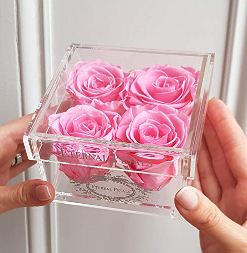 A 100% Real Roses That Last Years - Eternal Petals – Four Roses, White Gold Quartet (Pink)