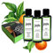 JOILS® Saunaaufguss Set III, 3x50ml, 100% naturreines Öl für Ihre Sauna, BIO-Saunaöl im Geschenkset, vom Familienbetrieb aus dem Schwarzwald