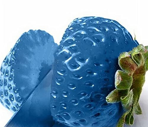 Haloppe 100 Unids Semillas de Frutas de Fresa para la Plantación de Jardín en el Hogar, Semillas de Plantas de Frutas de Fresa Deliciosas Bonsai Balcón Jardín Decoración de Patio Azul