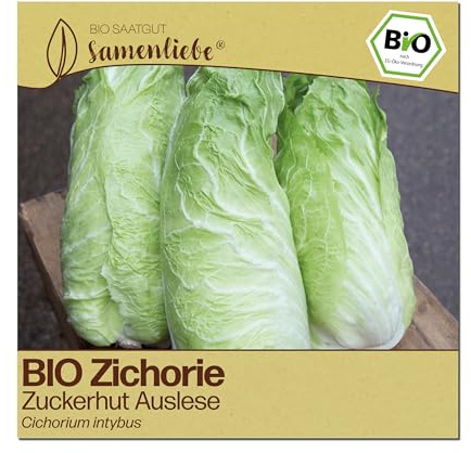 Samenliebe BIO Zichorien Samen | Zuckerhut Auslese - winterhart & groß - samenfestes BIO Saatgut