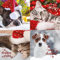 Emotional Rescue Weihnachtskarten Multipack, 12 Multipack Weihnachtskarten, 4 verschiedene Designs, 12 Stück Multipack Weihnachtskarten, Tier Weihnachtskarte Multipack