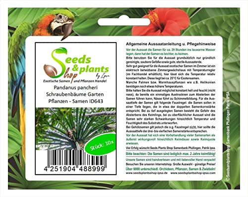 Stk - 10x Pandanus pancheri Schraubenbäume Garten Pflanzen - Samen ID643 - Seeds & Plants Shop by Ipsa