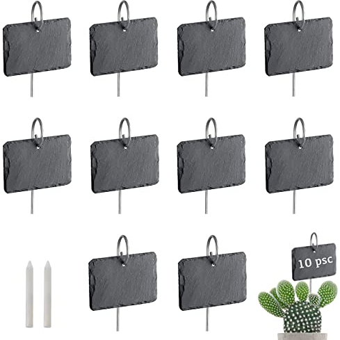 HIUOUIH Ensemble de Étiquettes en Ardoise Jardin 10 x 8 cm Plantes Potager Semis Exterieur Plantation Réutilisables avec Tiges Acier Inoxydable et 1 Craie pour Cour, L'extérieur, Serre