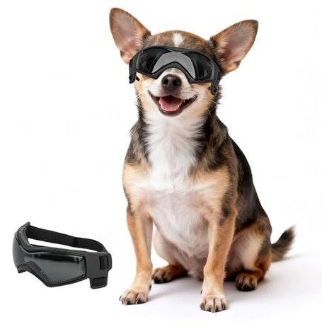 PETLESO Hundebrille für Extra Kleiner XS Hunde Motorradbrille mit Einstellbar Gummiband, Winddichte Chihuahua Sonnenbrille - Schwarz, XS