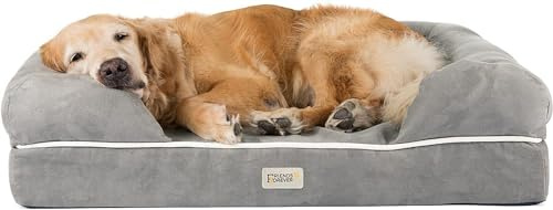 Friends Forever Orthopädisches Hundebett Lounge Sofa Abnehmbarer Bezug 100% Wildleder Matratze Memory Foam mit Nackenrolle Rand Premium Prestige Edition