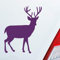 Hellweg Druckerei Hirsch REH Bock Deer Wild Jagd Wald Jäger KFZ Car Auto Aufkleber Sticker Heckscheibenaufkleber