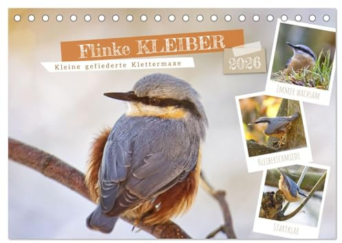 Flinke Kleiber (Tischkalender 2026 DIN A5 quer), CALVENDO Monatskalender: Kleine gefiederte Klettermaxe (CALVENDO Tiere)