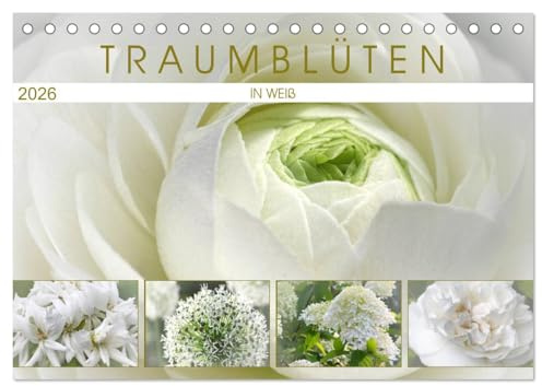 Traumblüten in Weiß (Tischkalender 2026 DIN A5 quer), CALVENDO Monatskalender: Blütenträume in weiß (CALVENDO Natur)