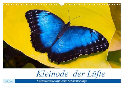 Kleinode der Lüfte - Faszinierende tropische Schmetterlinge (Wandkalender 2026 DIN A3 quer), CALVENDO Monatskalender: Tropische Schmetterlinge ... schwerer zu fotografieren. (CALVENDO Tiere)