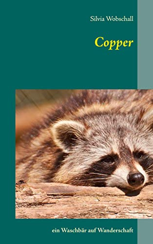 Copper: ein Waschbär auf Wanderschaft