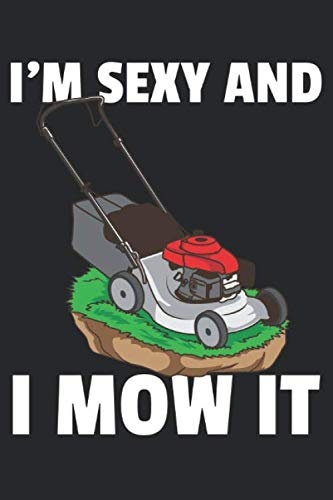 Rasenmäher Notizbuch: Rasenmäher Notizbuch für alle die gerne den Rasen mähen / Notizheft / Notizblock A5 (6x9in) Dotted Notebook / Punkteraster / 120 gepunktete Seiten