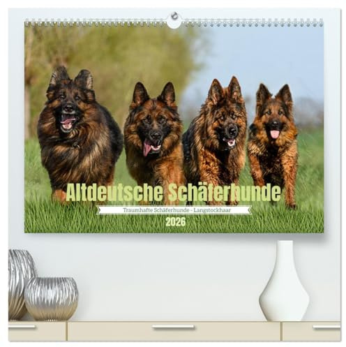 Altdeutsche Schäferhunde - Traumhafte Schäferhunde Langstockhaar (hochwertiger Premium Wandkalender 2026 DIN A2 quer), Kunstdruck in Hochglanz: ... Kraft und Ausstrahlung. (CALVENDO Tiere)