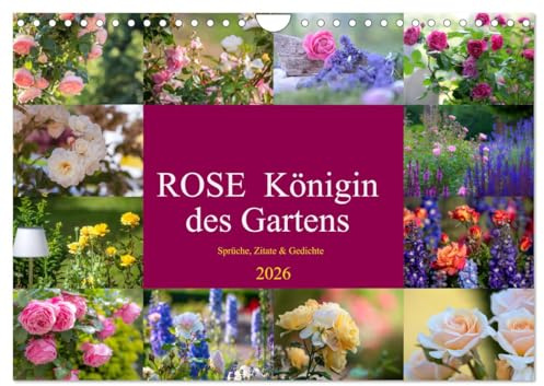 Rose Königin des Gartens (Wandkalender 2026 DIN A4 quer), CALVENDO Monatskalender: Rosen in all ihrer Vielfalt sind in allen Gärten dieser Welt zu ... Rose ist Jahrhunderte alt (CALVENDO Kunst)