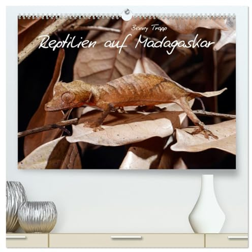 Reptilien auf Madagaskar (hochwertiger Premium Wandkalender 2026 DIN A2 quer), Kunstdruck in Hochglanz: Geckos, Chamäleons, Schlangen, Echsen auf Madagaskar (CALVENDO Tiere)