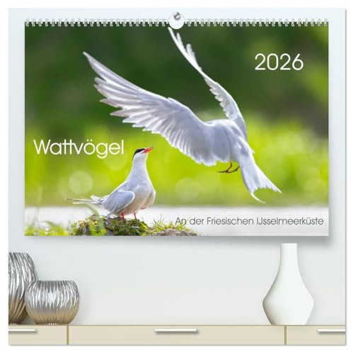 Wattvögel an der Friesischen IJsselmeerküste (hochwertiger Premium Wandkalender 2026 DIN A2 quer), Kunstdruck in Hochglanz: Außergewöhnliche Aufnahmen ... Friesischen IJsselmeerküste (CALVENDO Tiere)