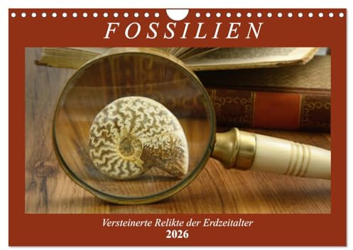 Fossilien - Versteinerte Relikte der Erdzeitalter (Wandkalender 2026 DIN A4 quer), CALVENDO Monatskalender: Einen Querschnitt durch die Vielfalt der Fossilien (CALVENDO Wissenschaft)