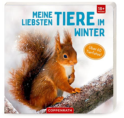 Meine liebsten Tiere im Winter