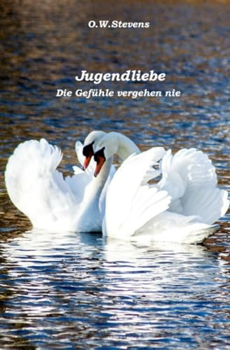 Jugendliebe: Die Gefühle vergehen nie (Begegnungen)
