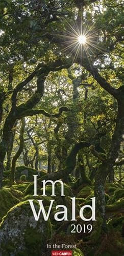 Im Wald - Kalender 2019