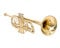 Trompete in Bb Pitch Messing Gold Look mit gratis Hard Case und Mundstück