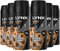 6 Pack of 150ml Lynx Leather & Cookies 48hrs High Definition Fragrance Deodorant Bodyspray