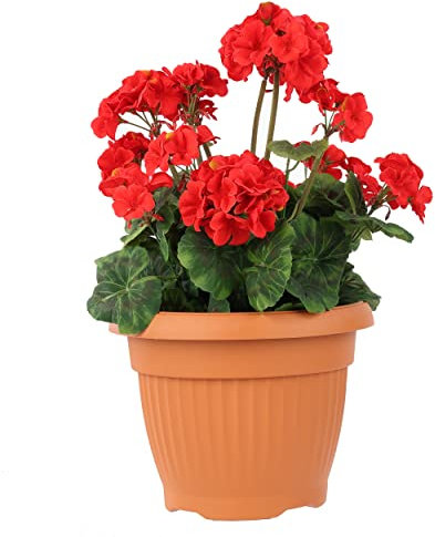 botle Pot de fleurs rond - Dimensions : 17 cm x 13,5 cm - Volume : 2 l - Couleur : terre cuite - Plastique - 12 grands pots de fleurs traditionnels