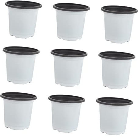 60 STK Blumentopf Netzbecher Pflanzen Setzling Pflanzer Aloe Vera Pflanze Starter-growpot to-go-behälter Aus Kunststoff Sämlingsbecher Vasen Plastik Weiß Kaktus Grüne Pflanzen