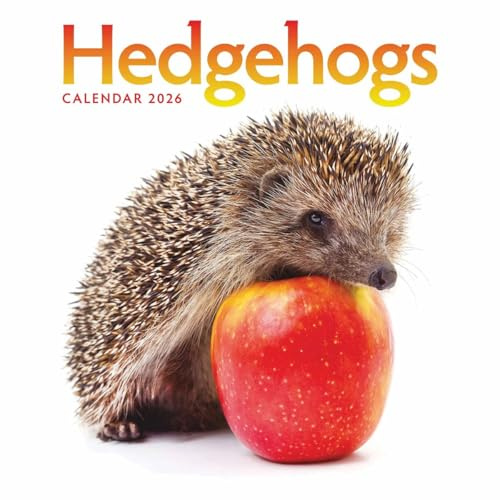 Hedgehogs – Igel 2026 – Wand-Kalender: Original Carousel-Kalender [Mehrsprachig] [Kalender] (Wall-Kalender)