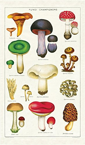 Cavallini Papers & Co. Vintage Pilze Baumwolle Geschirrtuch
