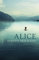 ALICE: Nominiert: IMPAC Award 2013, Nominiert: Independent Foreign Fiction Prize 2012
