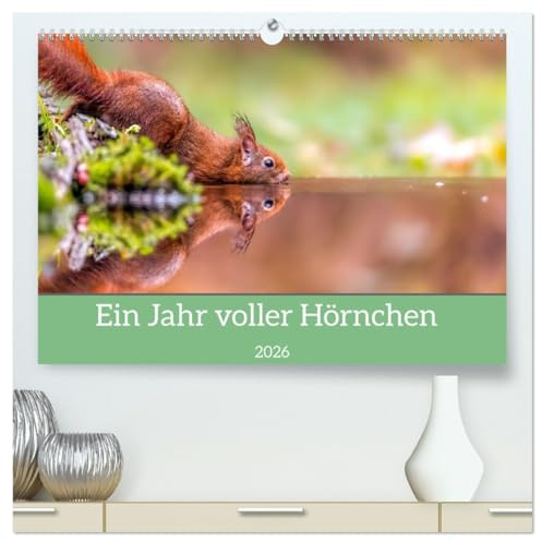 Ein Jahr voller Hörnchen (hochwertiger Premium Wandkalender 2026 DIN A2 quer), Kunstdruck in Hochglanz: Eine bunte Auswahl an niedlichen Eichhörnchen und weiteren Hörnchchen (CALVENDO Tiere)