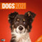 Dogs Kalender 2021 - 30x30