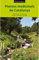 Plantes medicinals de Catalunya: 1 (Guies de Natura)