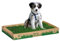PetGround Empapador para Perros, Ecológico, Alfombrilla de Césped Natural, Inodoro para Perros, Caja Impermeable, Reutilizable e Inoloro, Standard (60cm x 40cm)