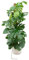 Monstera Pertusum XL incluant Vibes Fold Round blanc - 140-150cm - Ø30cm - Plante d'intérieur - Ensemble complet - Plante avec pot