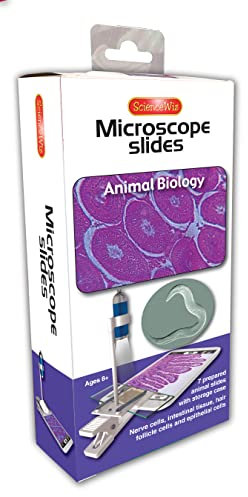 Microscope Slides: Animal Biology Slides (set of 7) (Microscope Slide Sets)