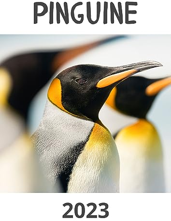 Pinguine: Kalender 2022