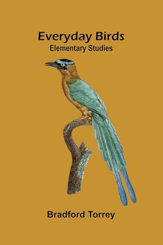 Everyday Birds: Elementary Studies