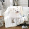 Hund Wohndecke Wei? Samojede Hund Decke 150x200cm für Jugendmann Netter Haustierhund Gedrucktes Kuscheldecke 3D Hund Tier Muster Ultra weich Atmungsaktive