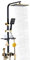Regendusche Duschset Dusche Handbrause Schwarz + Gold Duscharmatur Duschsystem