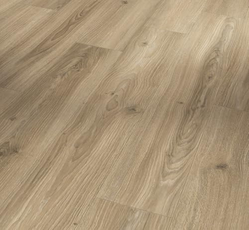 Parador Dekorboden Laminat Basic 400 Eiche Studioline beige Naturmattstruktur Landhausdiele 4-V-Fuge