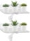 2 Stück Fenster Pflanzenregale: 30cm Clear Acryl Pflanzenregale, Fensterbank Pflanzenregal mit starker Cup Saugungm, Fensterregal für Pflanzen für Innengärten, Blumen, Sukkulenten, Kräuter,Blumentöpfe