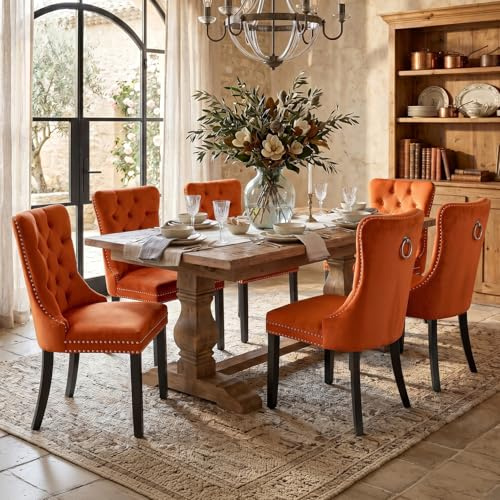 SoarFlash Esszimmerstühle mit gepolstertem Flügelrücken, orange, 6er Set | Weicher Samtbezug, Tufting, Nietenbesatz, Rückenring, Holzbeine. Ideal für Esszimmer, Wohnzimmer, Innendekoration.
